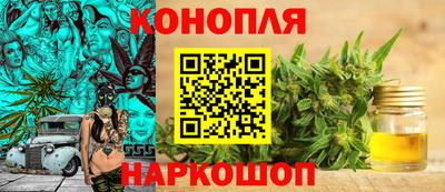СК Рыбинск