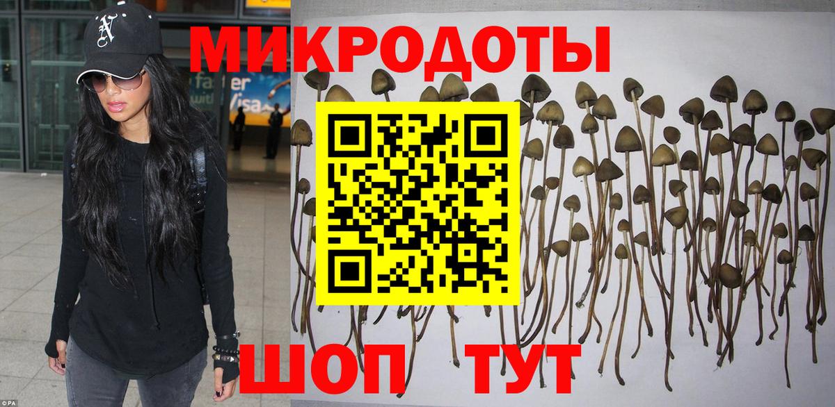 Галлюциногенные грибы мицелий Рязань